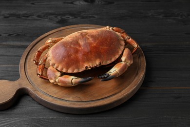 Delicious boiled crab on black wooden table