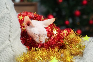 Adorable Sphynx cat with colorful tinsels on soft blanket