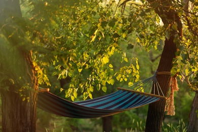 Empty comfortable blue hammock at green garden