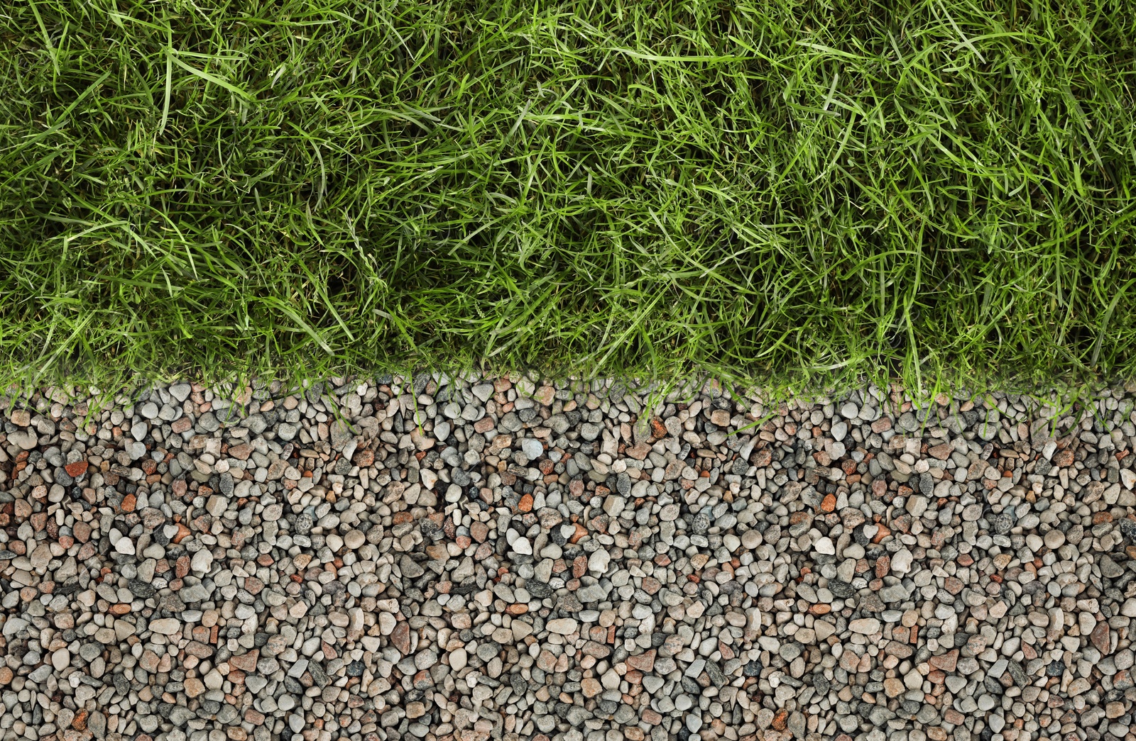 Image of Fresh green grass and stones outdoors, top view