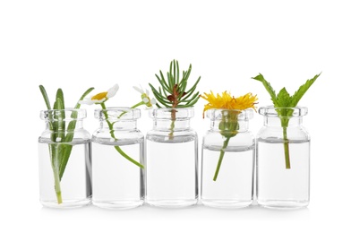 Photo of Glass bottles of different essential oils with plants on white background