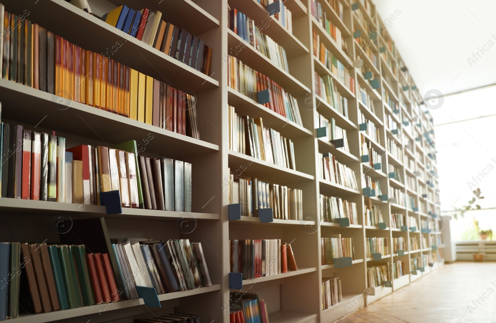 Photo of View of shelves with books in library