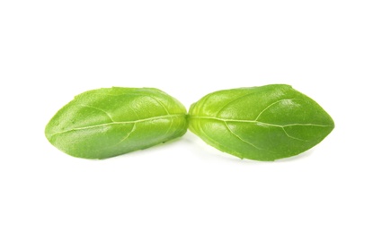 Photo of Fresh green basil leaves on white background