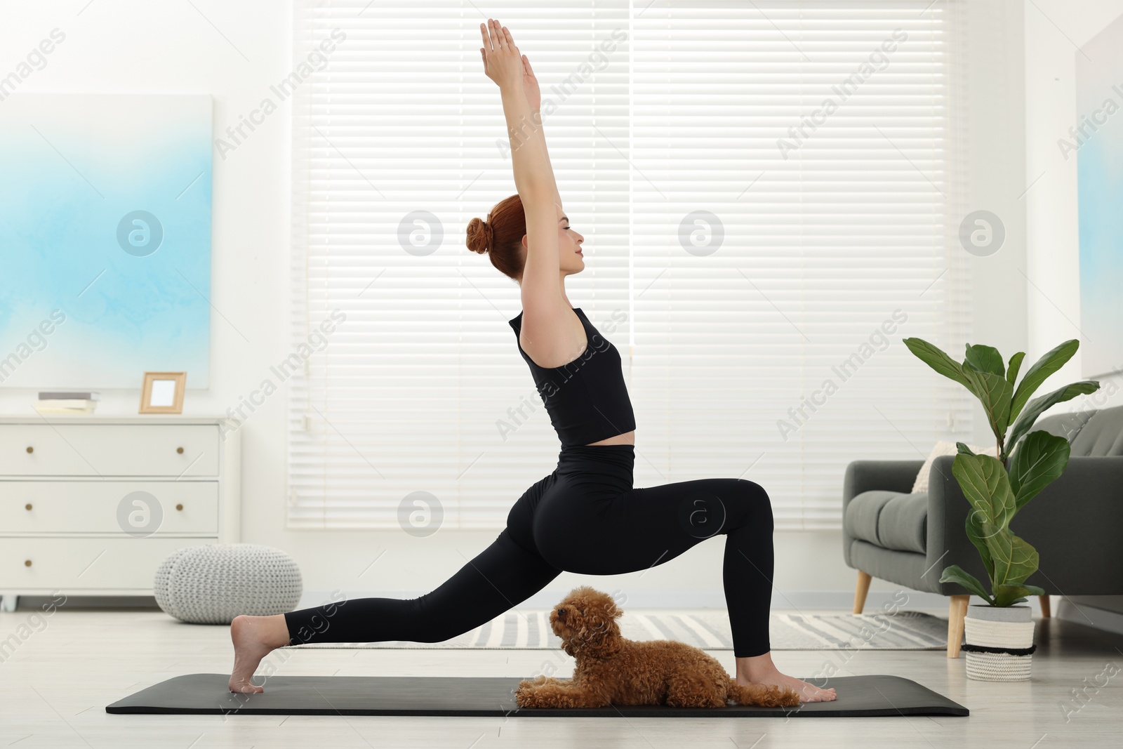 Photo of Young woman practicing yoga on mat with her cute dog at home