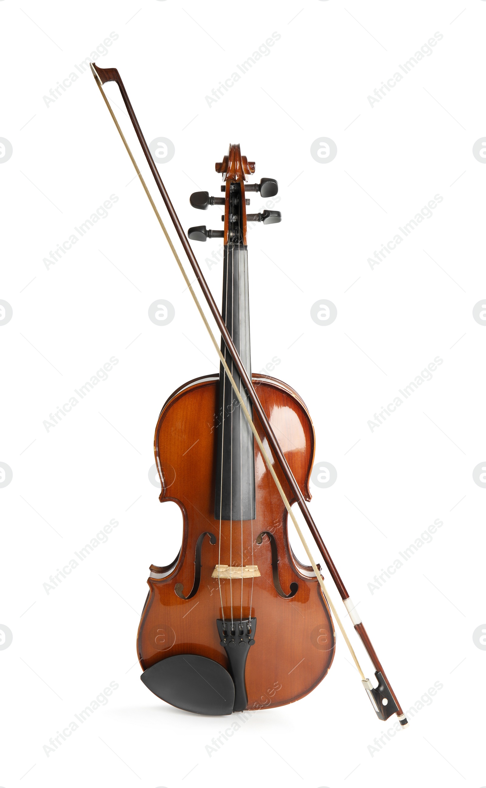 Photo of Classic violin and bow on white background. Musical instrument