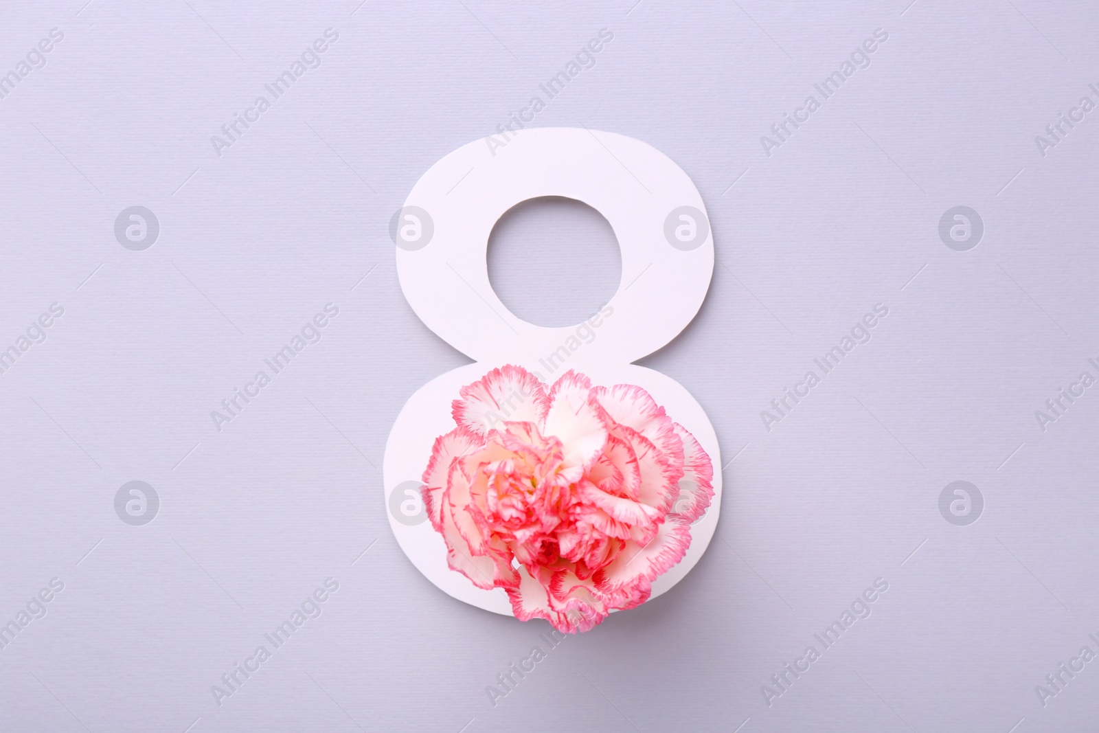 Photo of Paper number 8 and beautiful flower on light grey background, top view