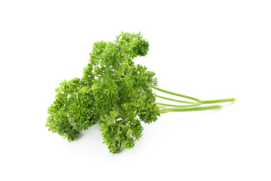 Fresh green curly parsley on white background