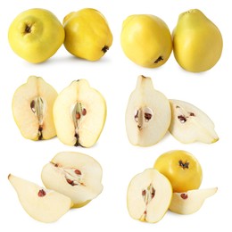 Fresh ripe quince fruits isolated on white, set