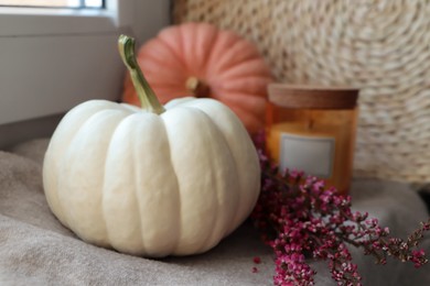 Photo of Pumpkins, beautiful heather flowers and candle on soft blanket indoors, closeup. Space for text