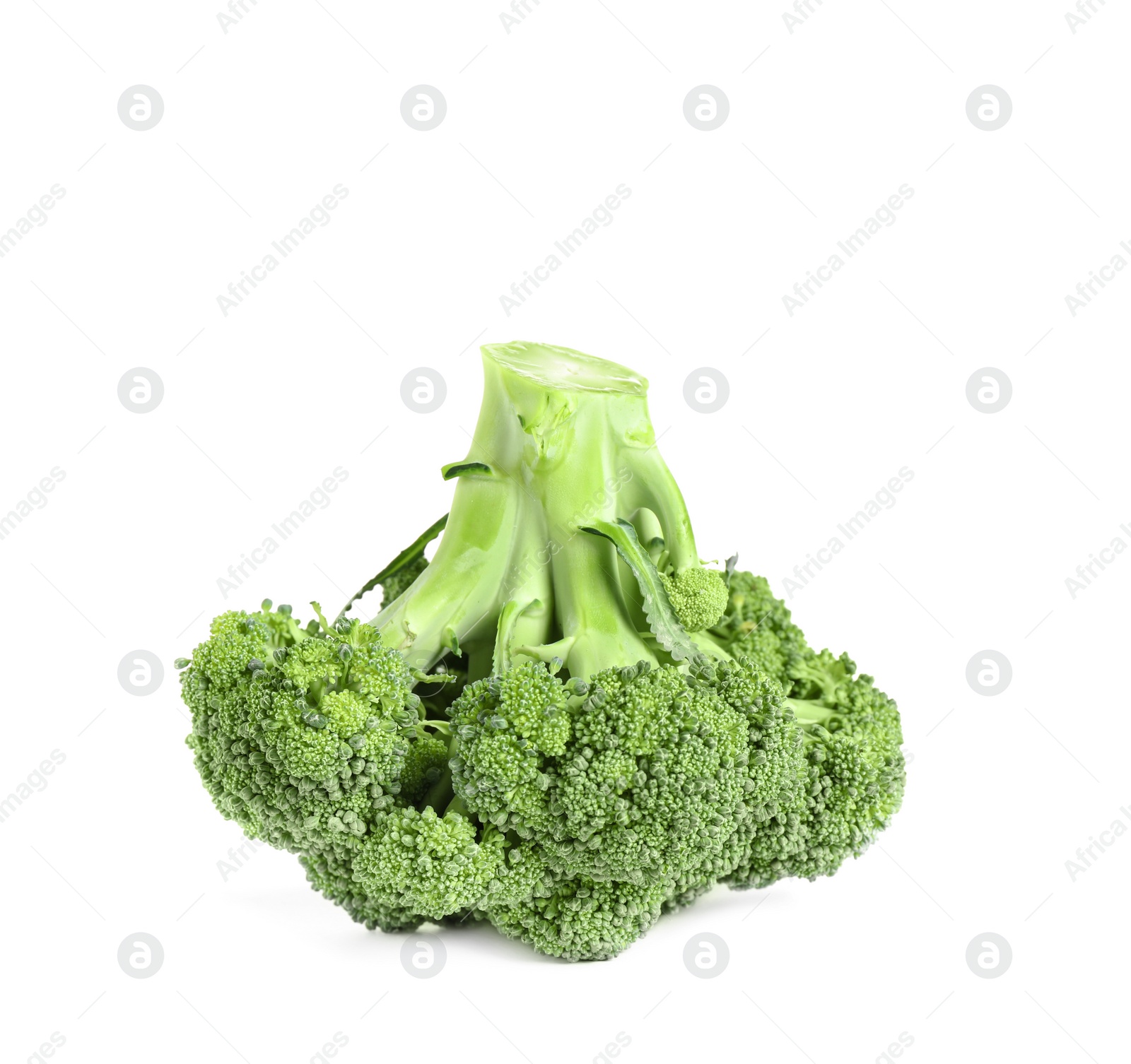 Photo of Fresh green raw broccoli on white background