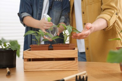 Mother and daughter spraying seedling in pots together at wooden table indoors, closeup