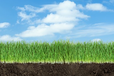 Image of Soil with lush green grass and beautiful blue sky with clouds