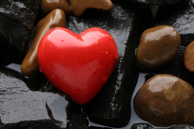 Photo of Red decorative heart on stones and water, closeup