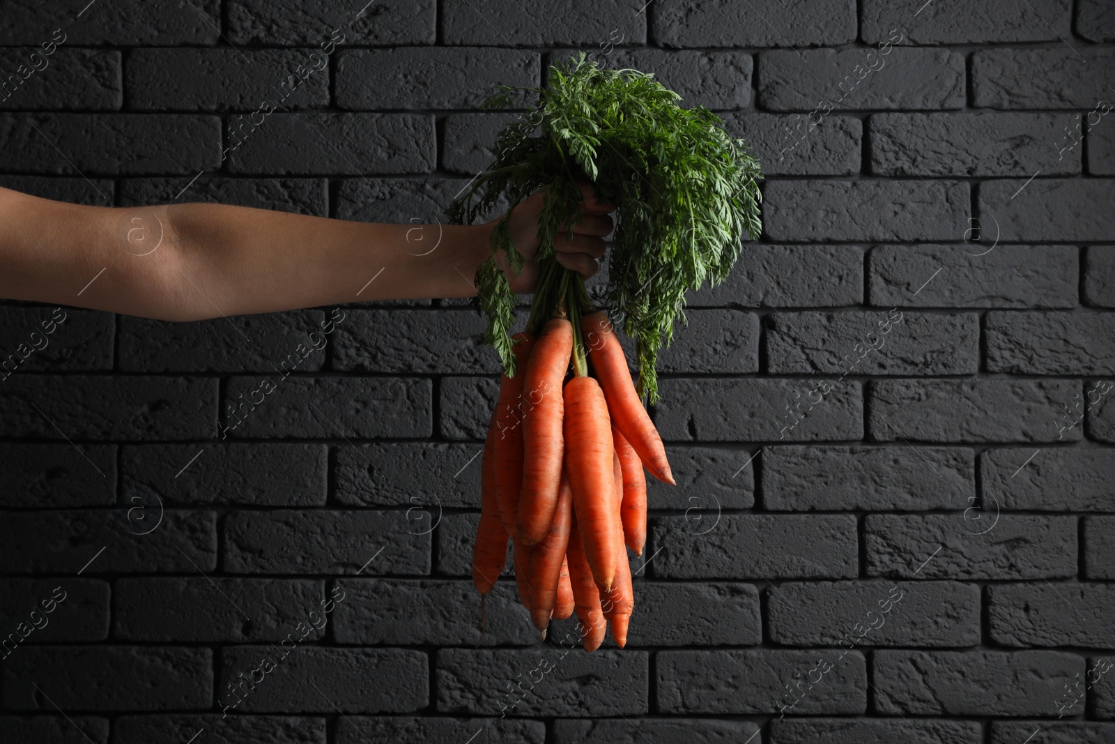 Photo of Woman holding fresh ripe juicy carrots against dark brick wall, closeup