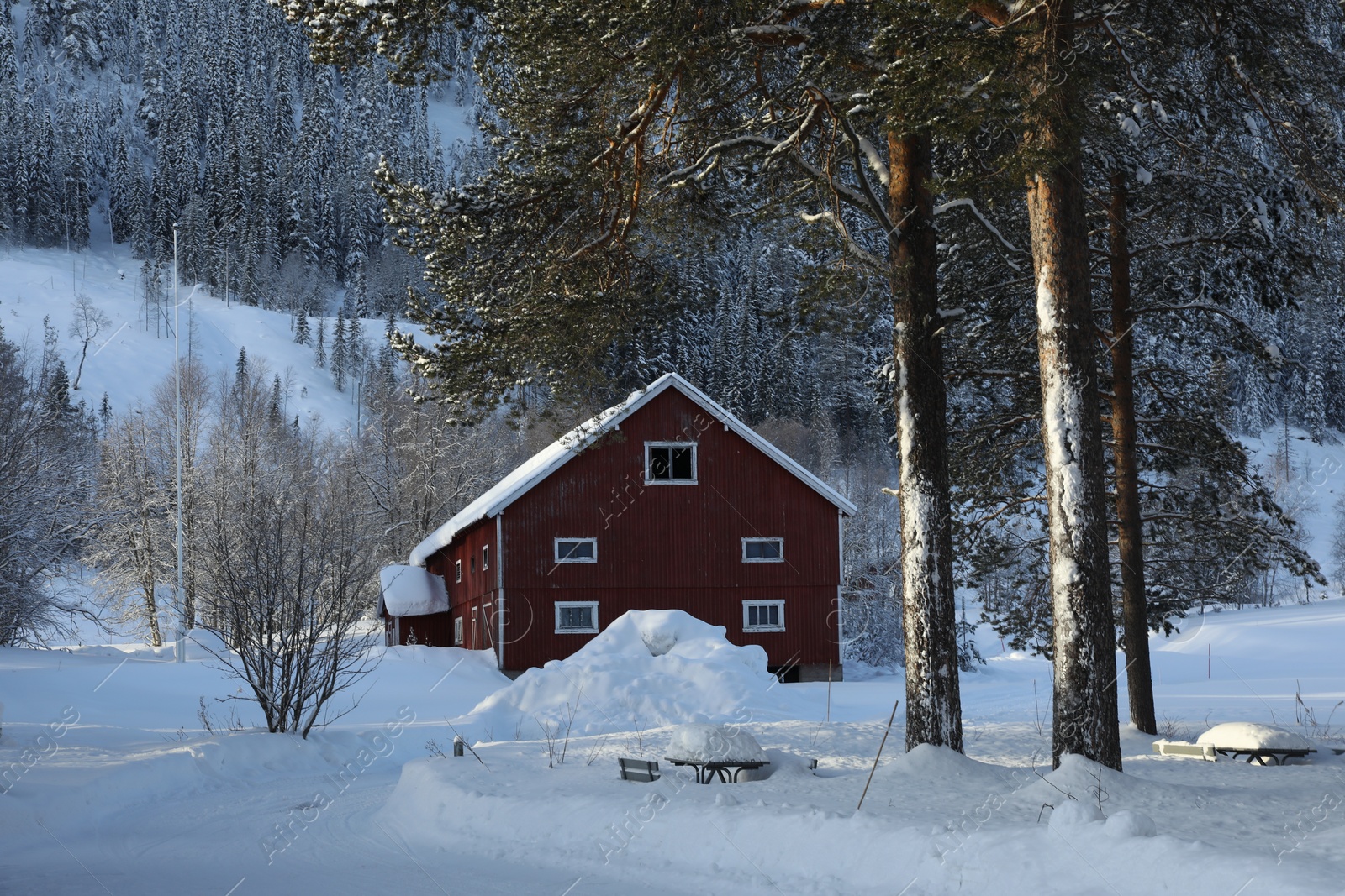 Photo of Beautiful view of cottage near snowy forest on winter day