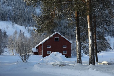 Beautiful view of cottage near snowy forest on winter day