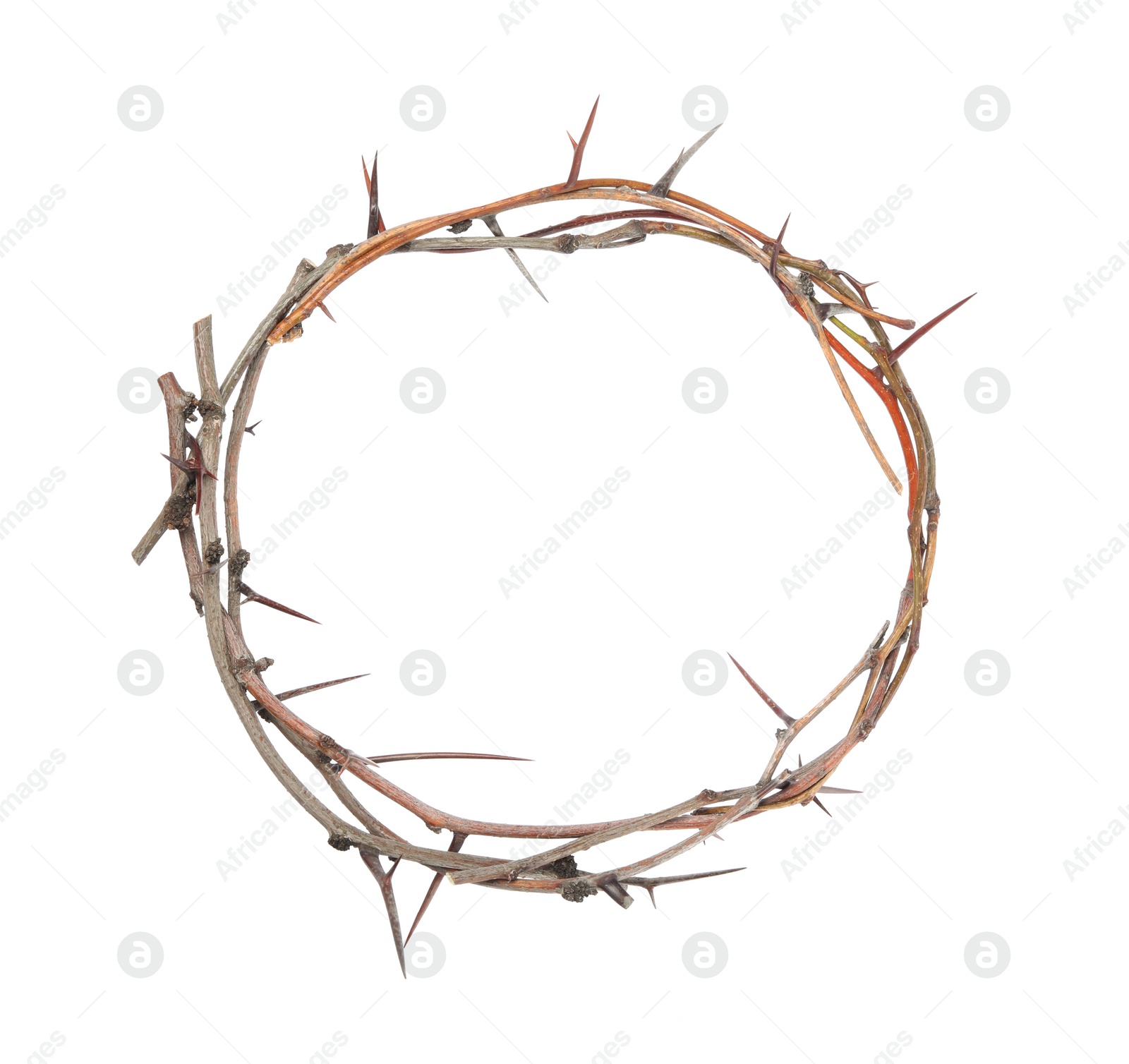 Photo of Crown of thorns isolated on white. Easter attribute