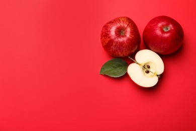 Whole, cut red apples and green leaf on color background, flat lay. Space for text
