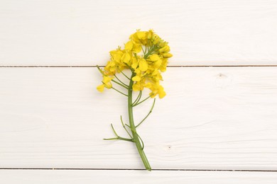 Photo of Beautiful rapeseed flowers on white wooden table, top view
