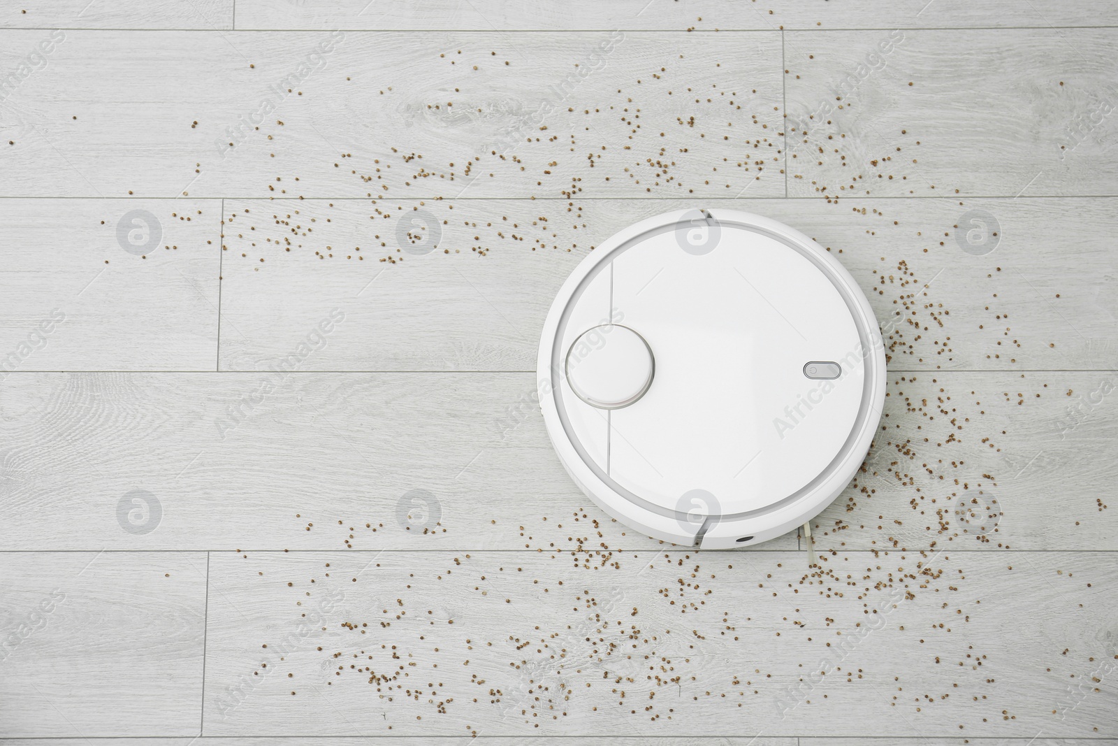 Photo of Removing groats from wooden floor with robotic vacuum cleaner at home, top view. Space for text