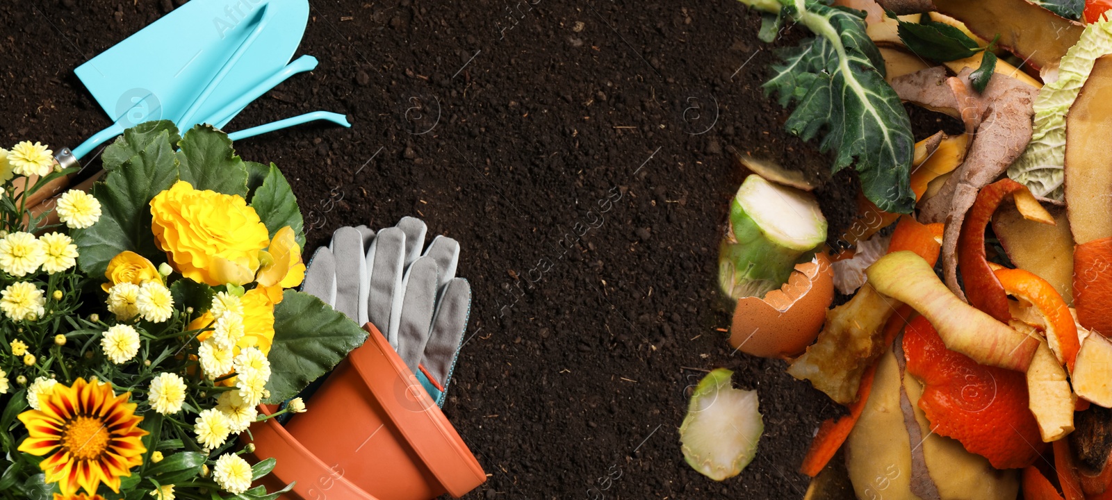 Image of Gardening tools, flowers and organic waste for composting on soil, flat lay. Natural fertilizer