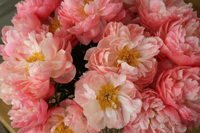 Photo of Many beautiful pink peony flowers, closeup view