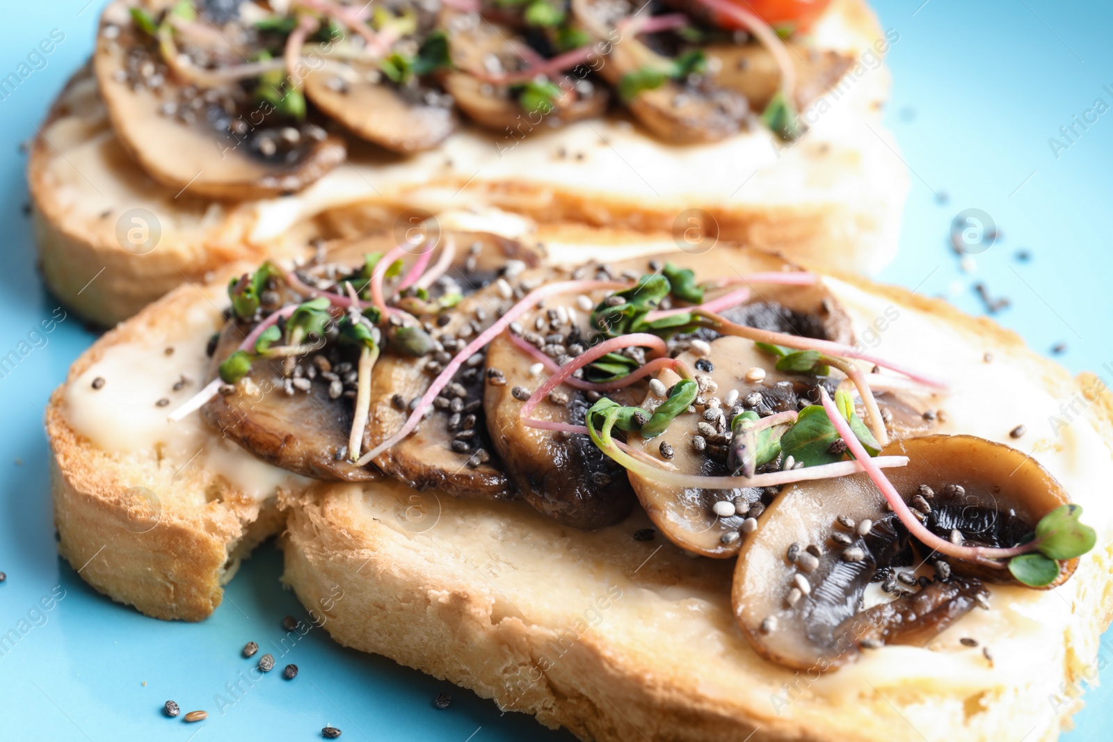 Photo of Tasty toasts with mushrooms, sprouts and chia seeds on color background, closeup