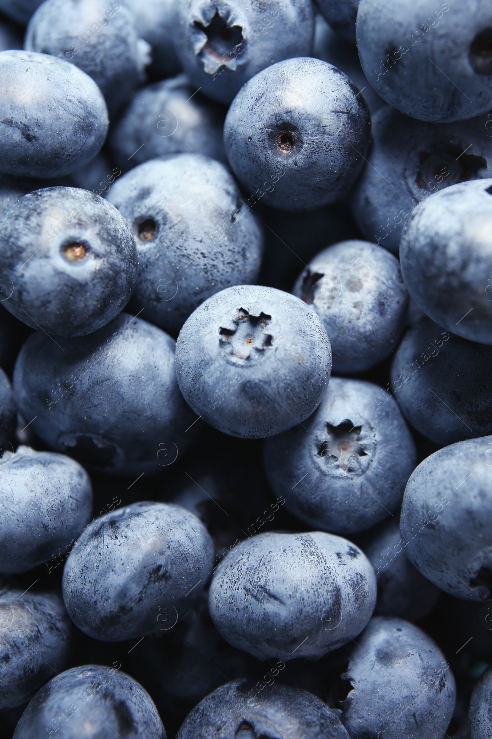 Photo of Juicy and fresh blueberries as background, closeup