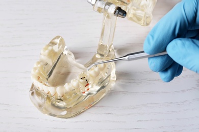 Dentist working with model of oral cavity with teeth at table, closeup