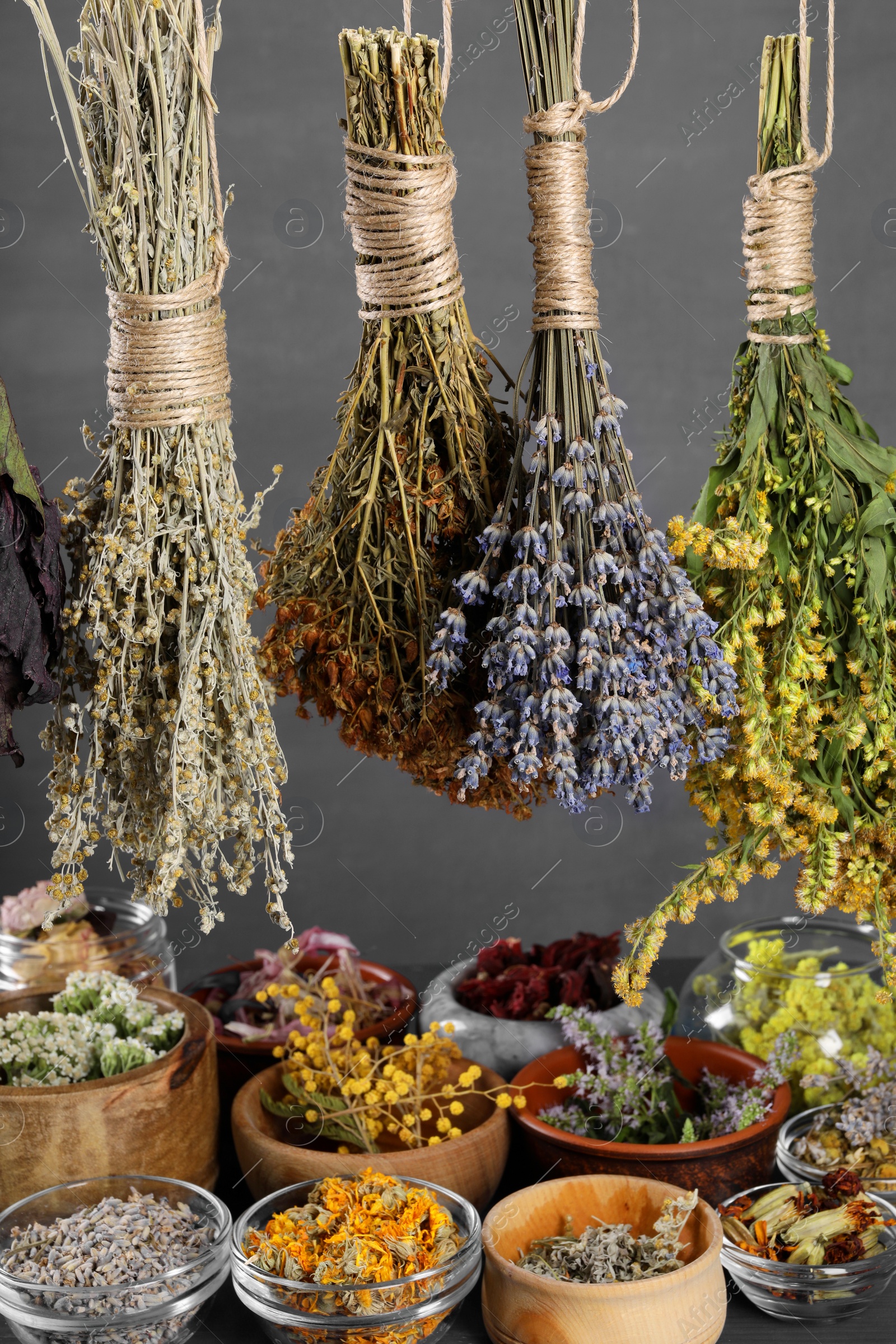 Photo of Many different herbs and flowers on grey background, closeup