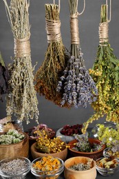 Many different herbs and flowers on grey background, closeup