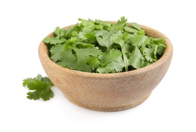 Bowl with fresh green coriander leaves on white background