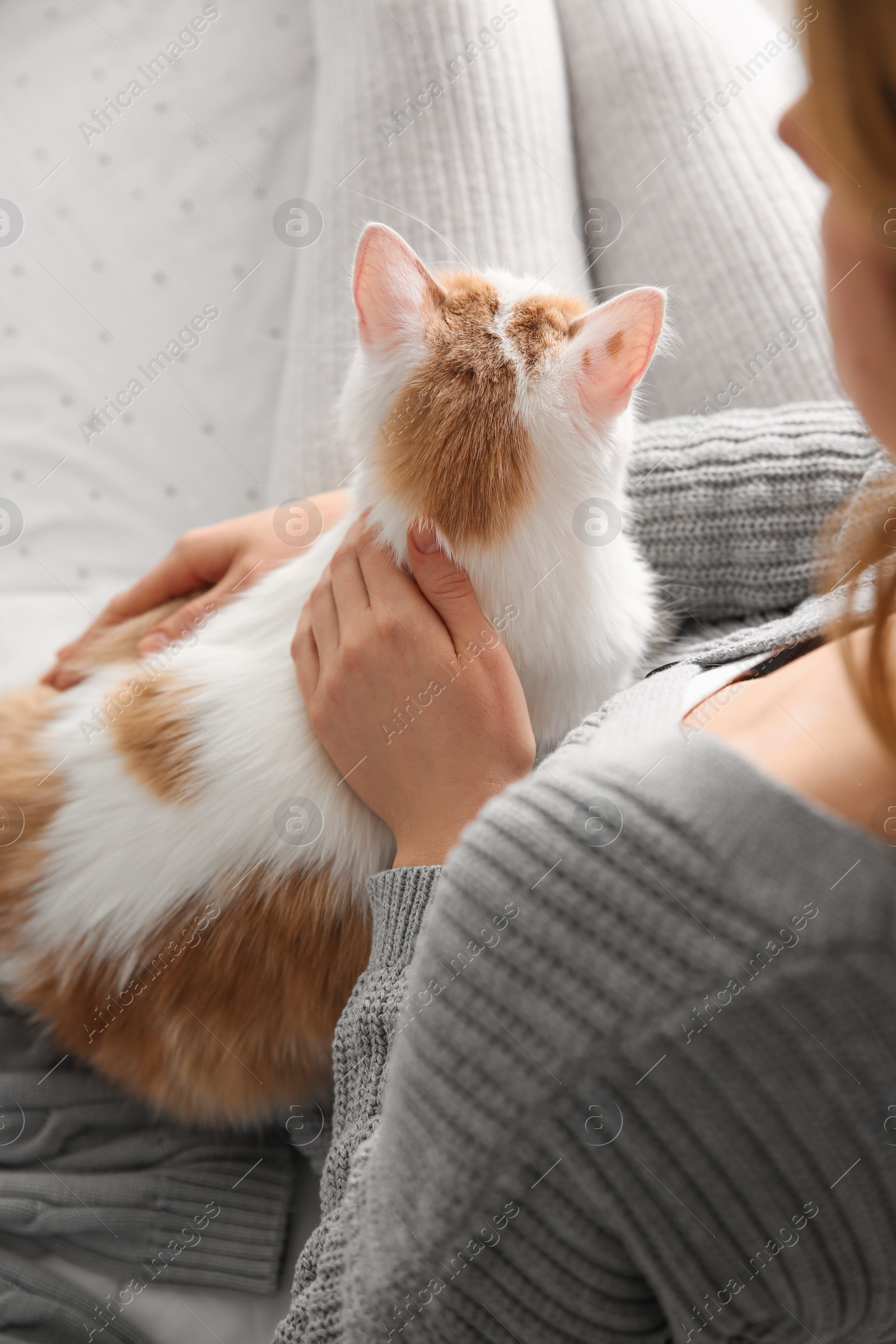 Photo of Woman with cute fluffy cat on bed, closeup