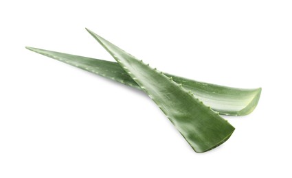 Photo of Green aloe vera leaves isolated on white