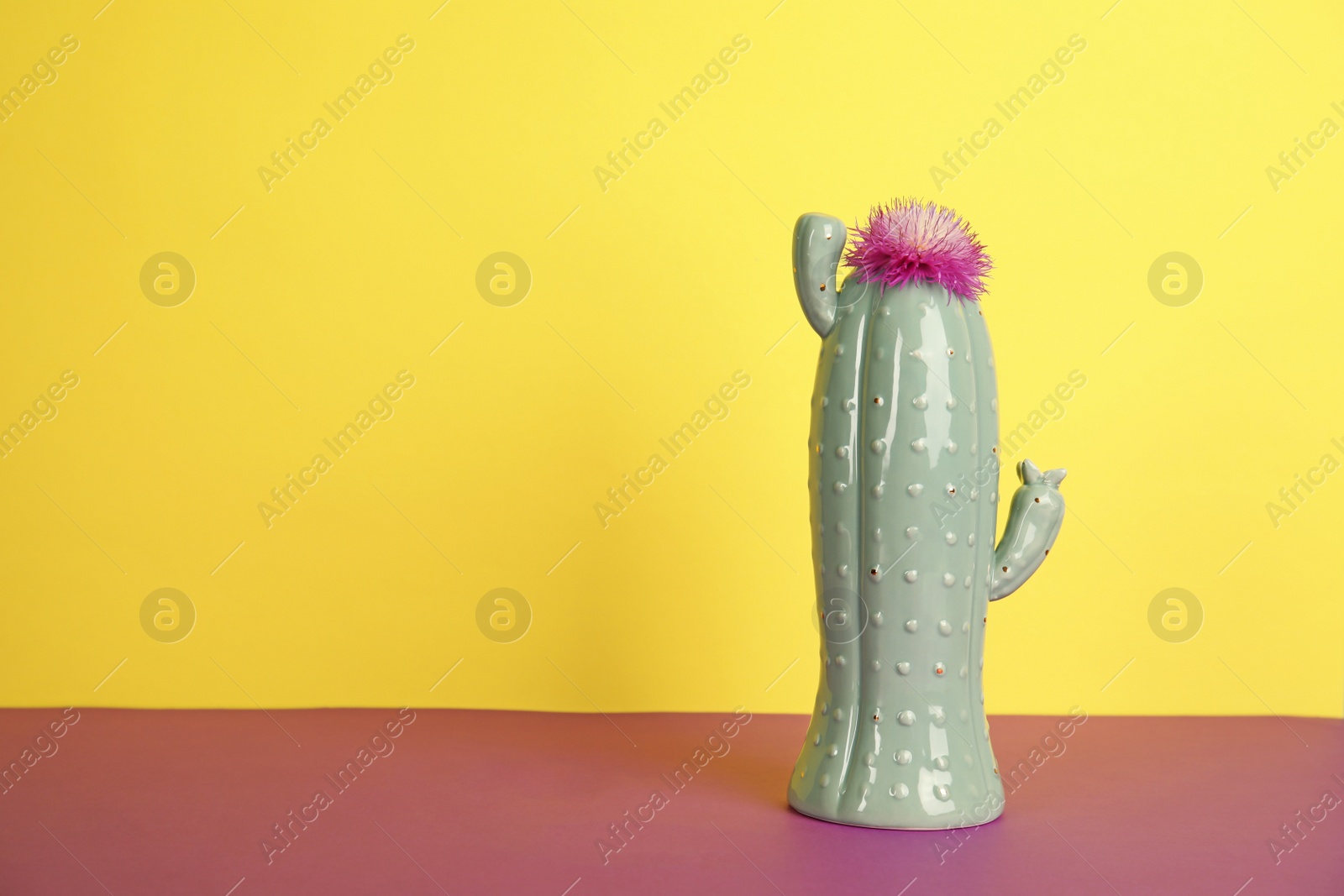 Photo of Trendy cactus shaped ceramic vase with flower on table against color background