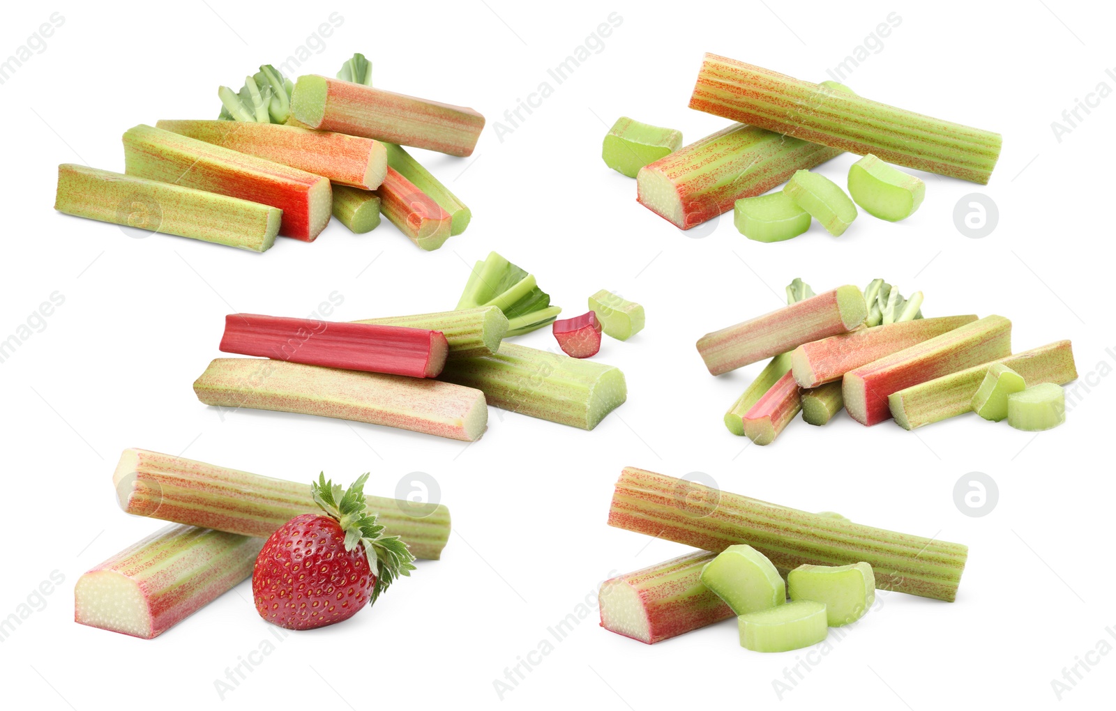 Image of Set with fresh rhubarb stalks isolated on white