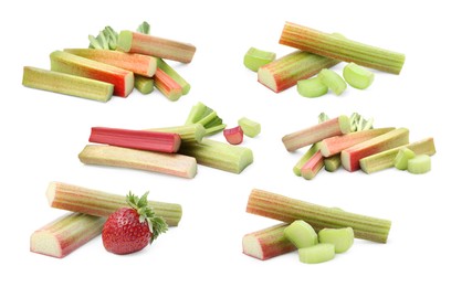 Image of Set with fresh rhubarb stalks isolated on white