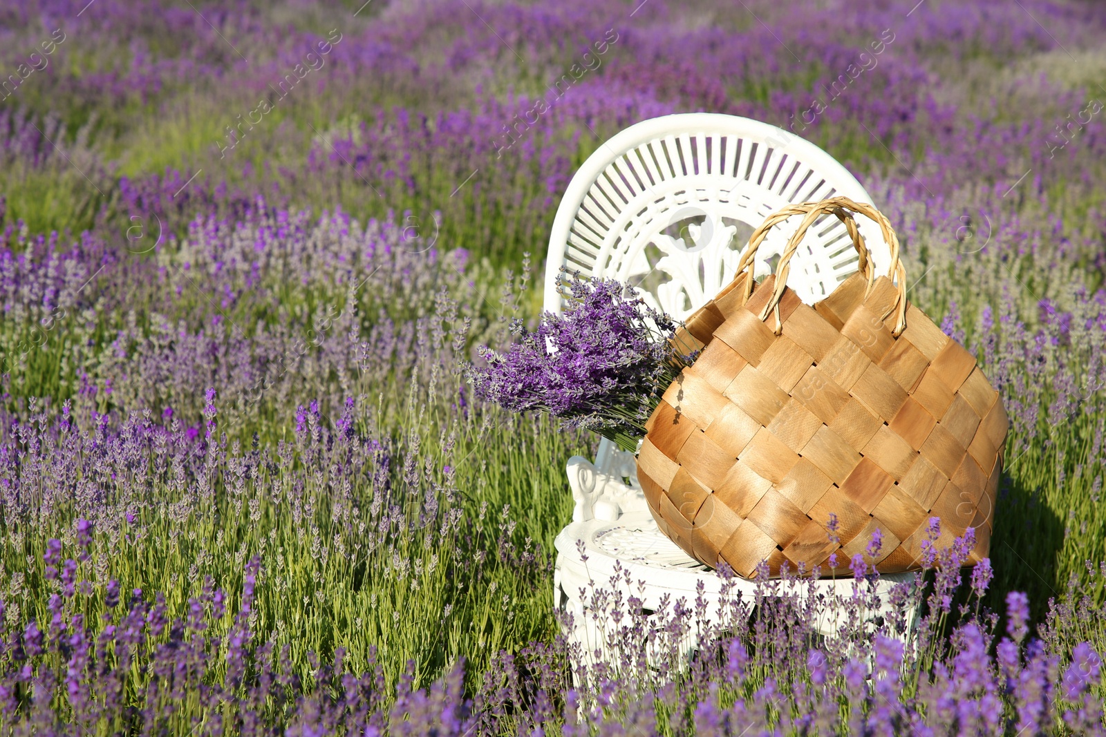 Photo of Wicker bag with beautiful lavender flowers on chair in field, space for text