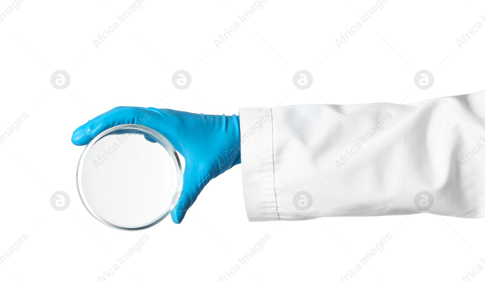 Photo of Scientist holding clean Petri dish on white background. Chemical research