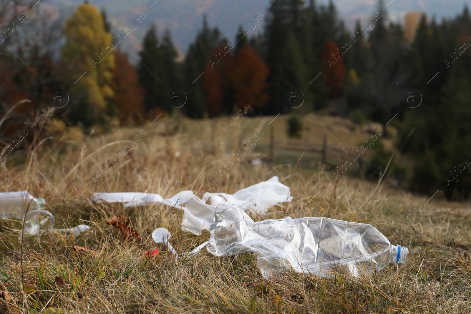 Photo of Plastic garbage scattered on grass near forest. Space for text