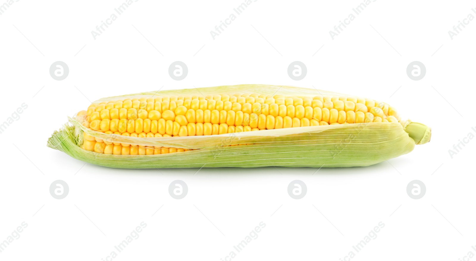 Photo of Ripe raw corn cob with husk isolated on white