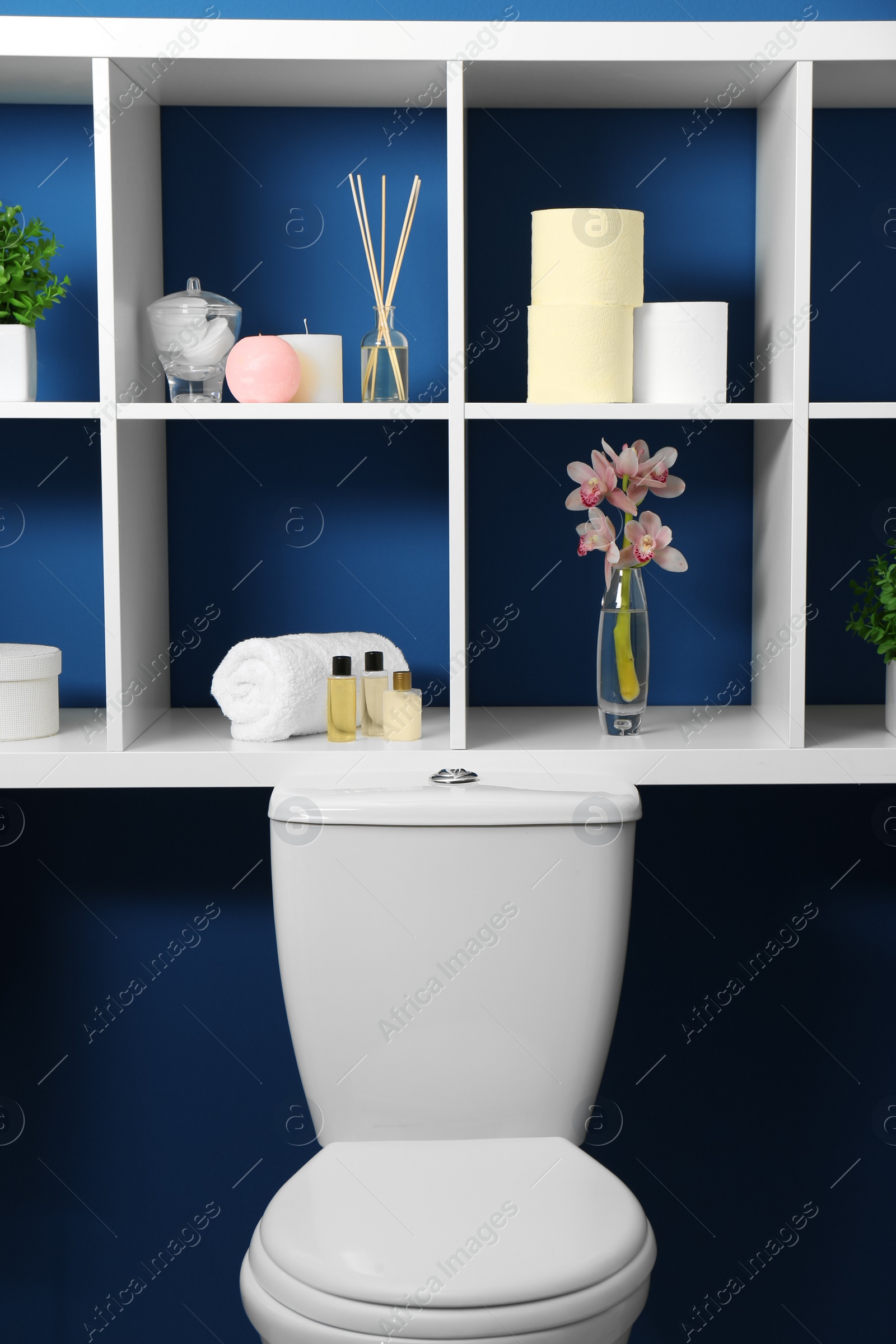 Photo of Shelves with different stuff on blue wall above toilet bowl in restroom interior