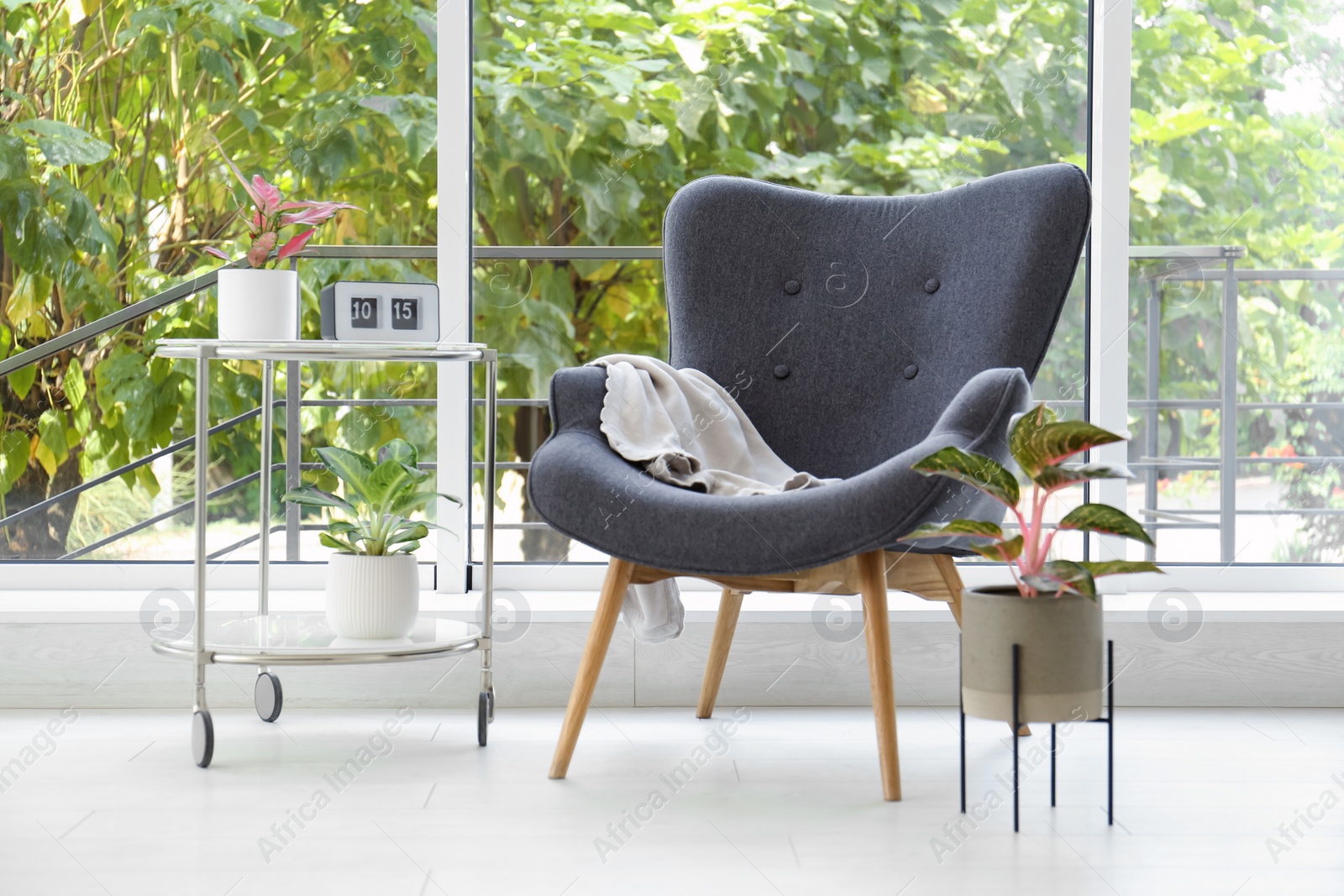 Photo of Beautiful houseplant on table in room. Element of interior design