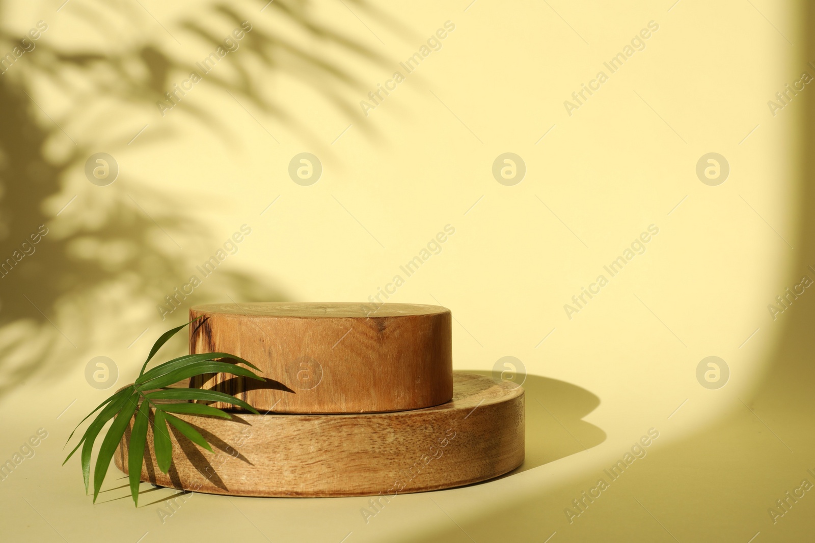 Photo of Presentation of product. Wooden podiums and palm leaf on yellow background. Space for text