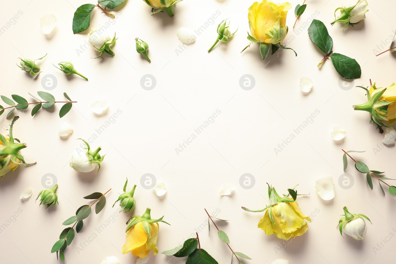 Photo of Flat lay composition with beautiful blooming flowers on color background