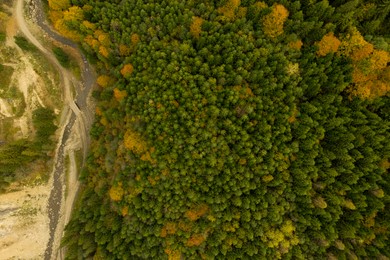 Image of Aerial view of beautiful mountain forest on autumn day