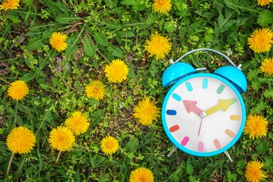 Photo of Alarm clock on green grass with dandelions, outdoors. Time change concept