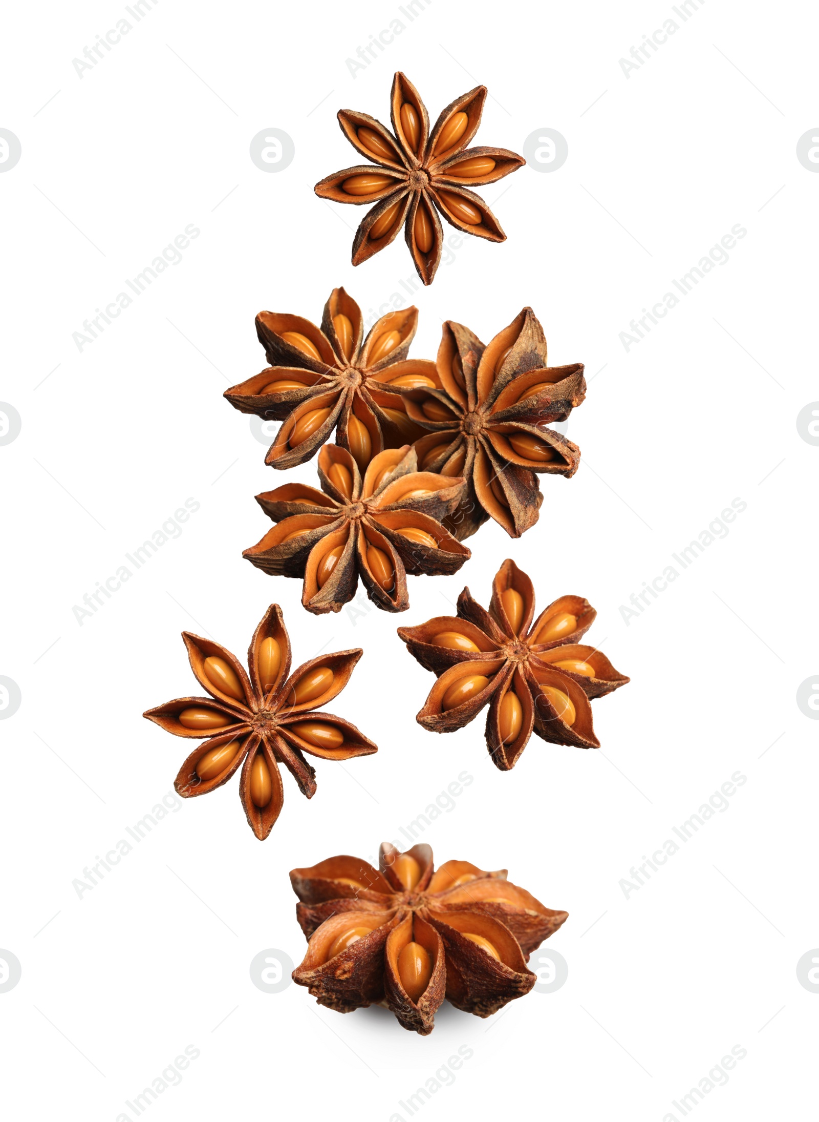 Image of Dry aromatic anise stars falling on white background