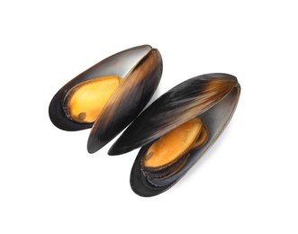 Photo of Delicious cooked mussels in shells on white background, top view