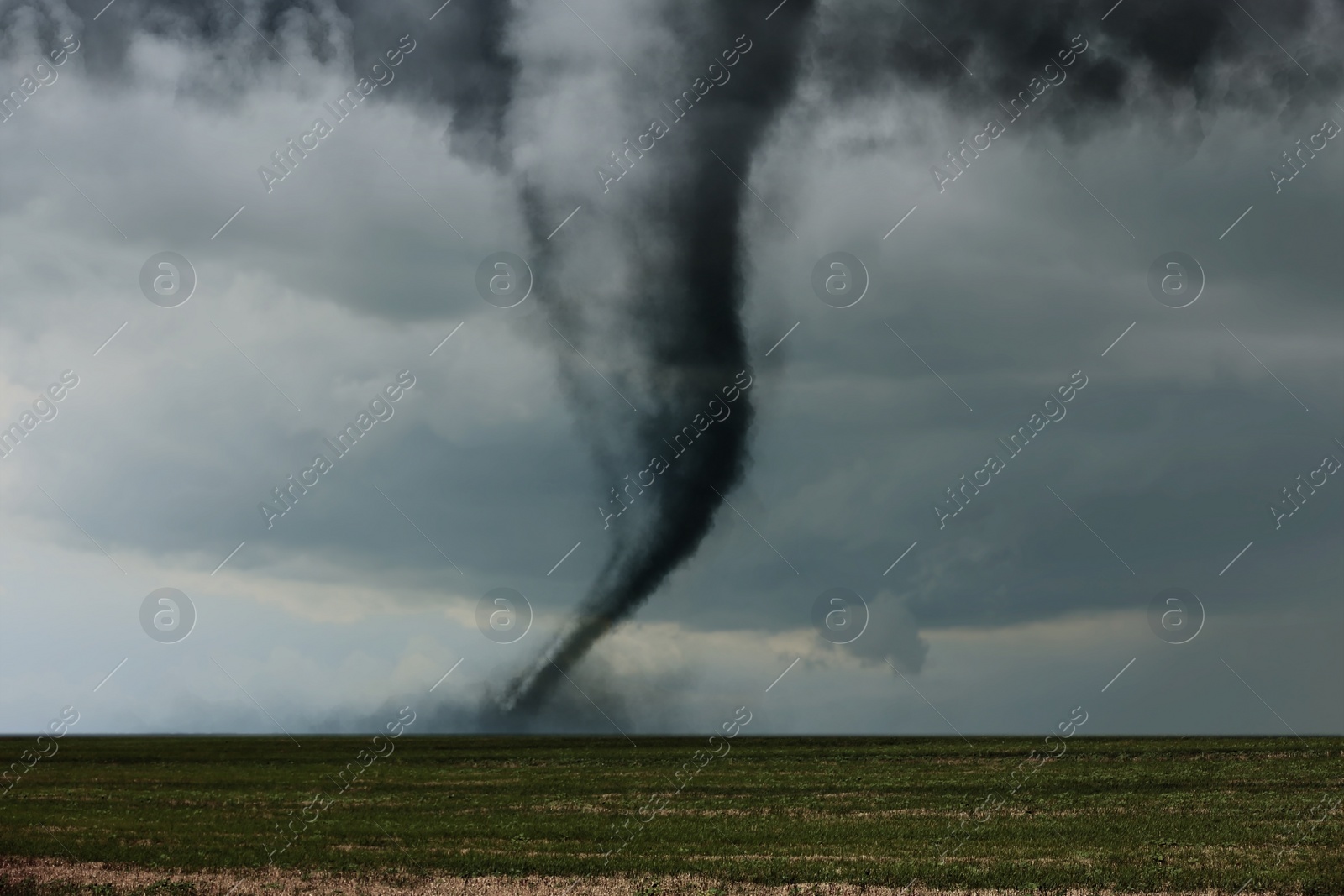 Image of Dangerous whirlwind at agricultural field. Weather phenomenon